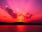 ... La RoSe N'a D'�PiNe QuE pOuR qUi VeUx La ToUcHeR ...